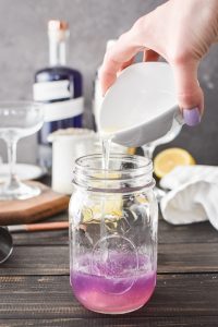 Lavender Gin Sour Cocktail